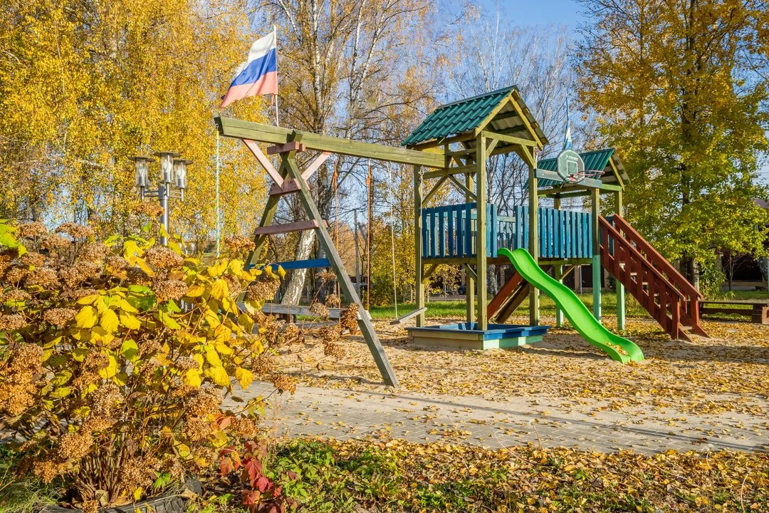 Image Alt